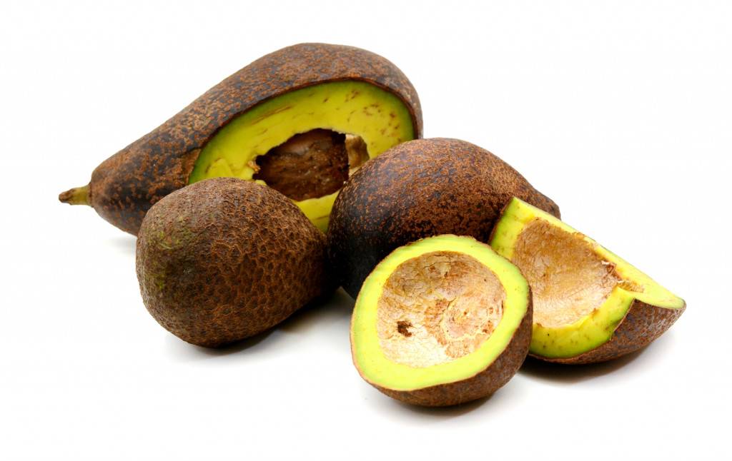 Illustration du terme « Avocat »