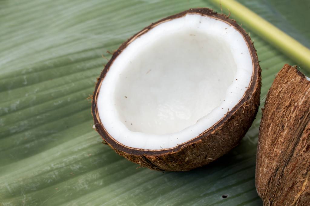 Illustration du terme « Noix de coco »