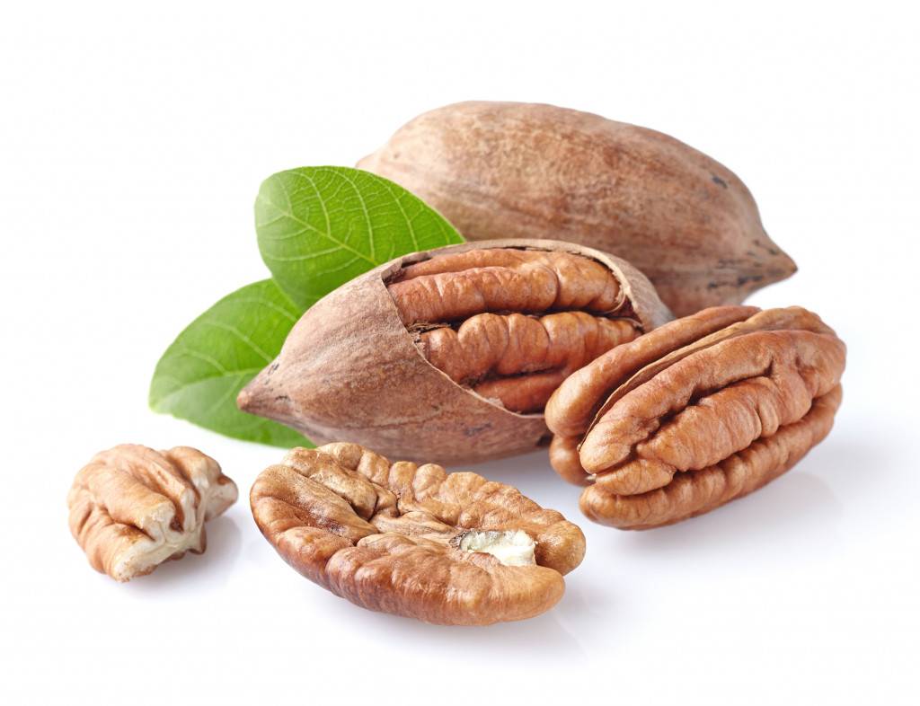 Illustration du terme « Noix de pecan »