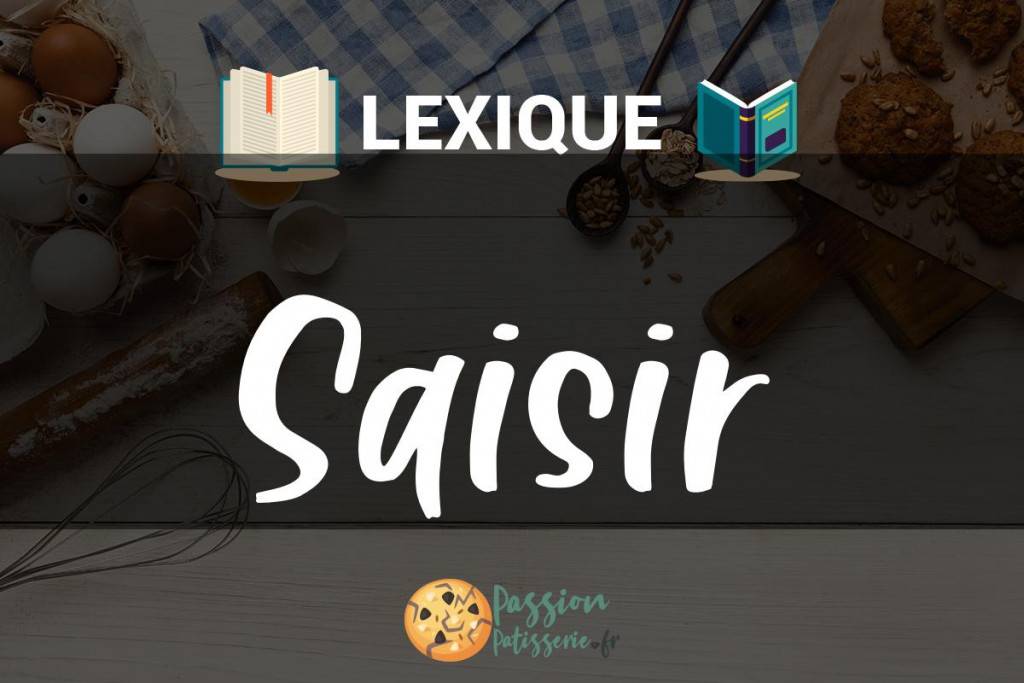 Illustration du terme « Saisir »