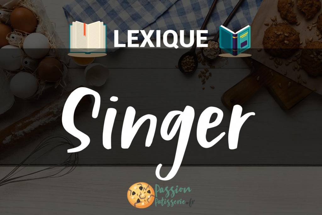 Illustration du terme « Singer »