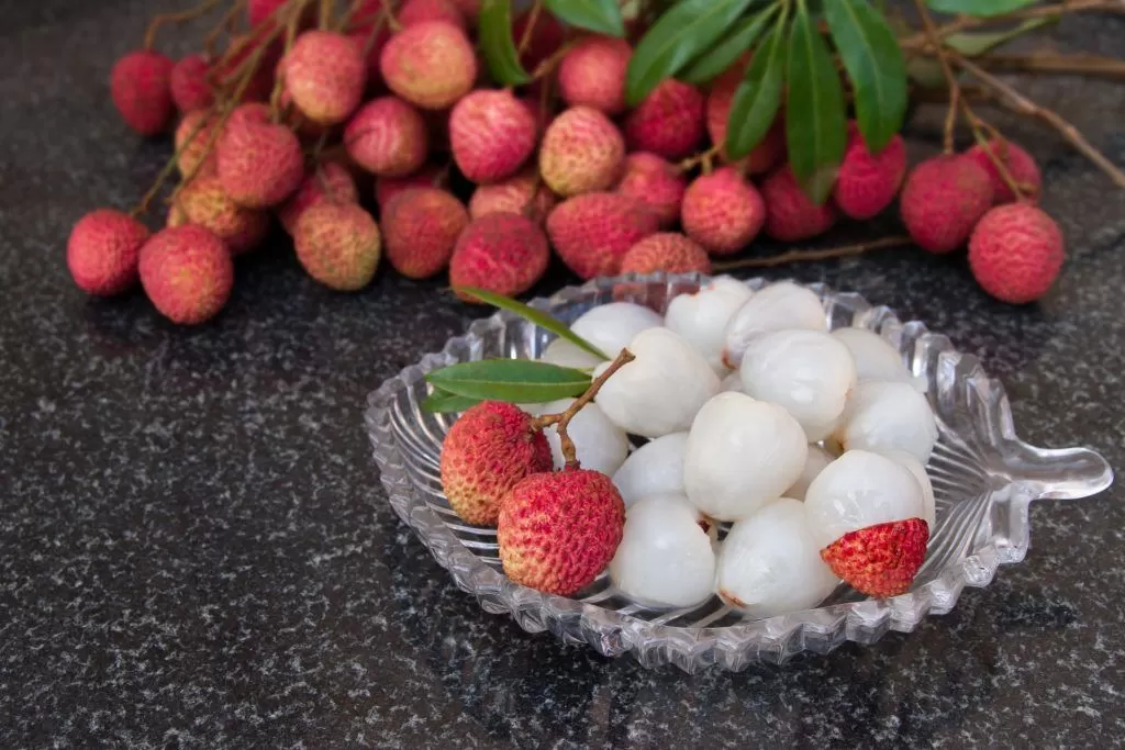 Illustration du terme « Litchi »