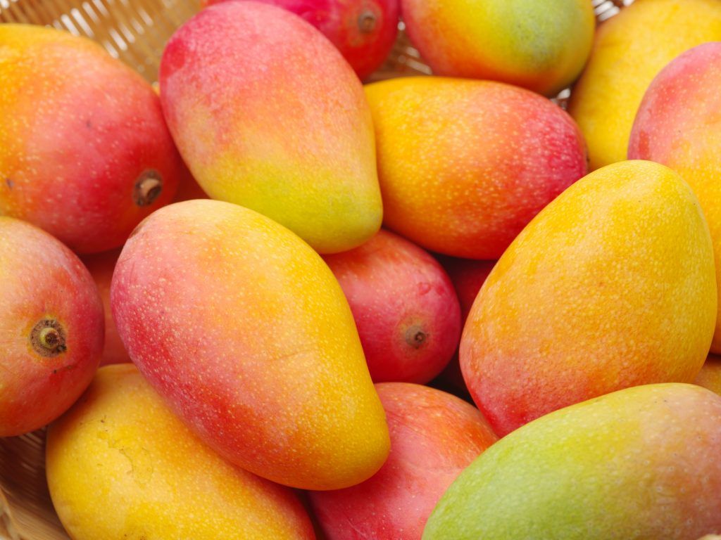 Illustration du terme « Mangue »