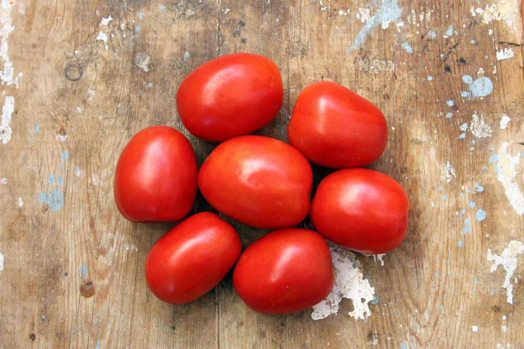 Illustration du terme « Tomate »