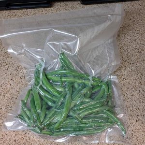 Le stockage sous vide : comment en tirer le maximum ? 1